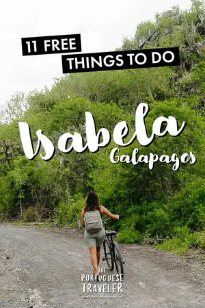 11 Free Things To Do in Isabela, Galapagos, Pinterest pin