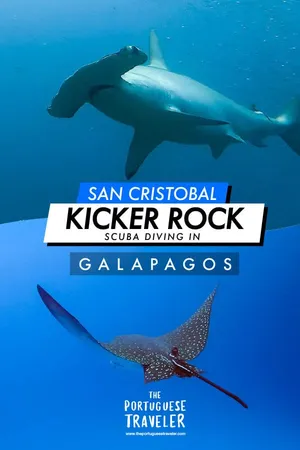 Diving in Kicker Rock, Pinterest pin