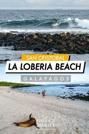 La Loberia Beach in San Cristobal, Pinterest pin