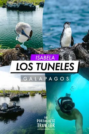 Los Tuneles Tour in Isabela, Pinterest pin