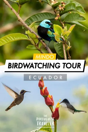 Mindo Birdwatching Tour, Pinterest pin