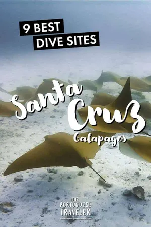 9 Best Dive Sites in Santa Cruz, Galapagos, Pinterest pin