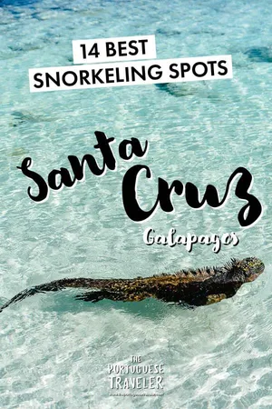 14 Best Snorkeling Spots in Santa Cruz, Galapagos, Pinterest pin