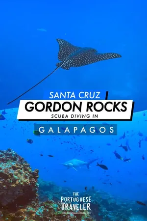 Diving in Gordon Rocks, Pinterest pin