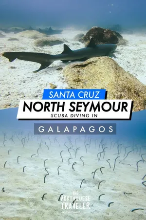 Diving in North Seymour and Mosquera, Pinterest pin