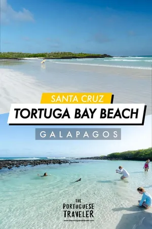 Tortuga Bay Beach in Santa Cruz, Pinterest pin