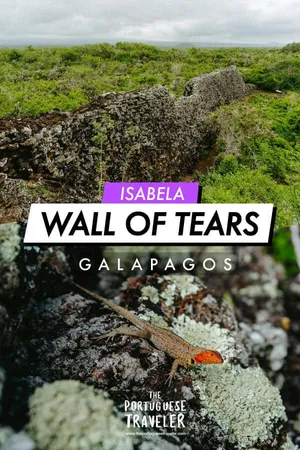 Wall of Tears in Isabela, Pinterest pin