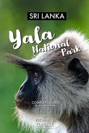 Yala National Park: Jungle Safaris, Ancient Temples, Pinterest pin
