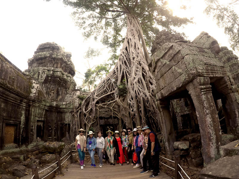 Group of Tourists at Tree Invaded Tomb Raider Temple in Angkor Wat, Cambodia