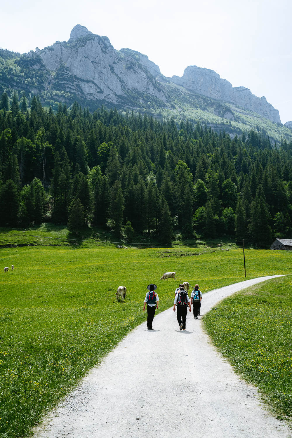 Kids with Traditional Appenzeller clothes hiking
