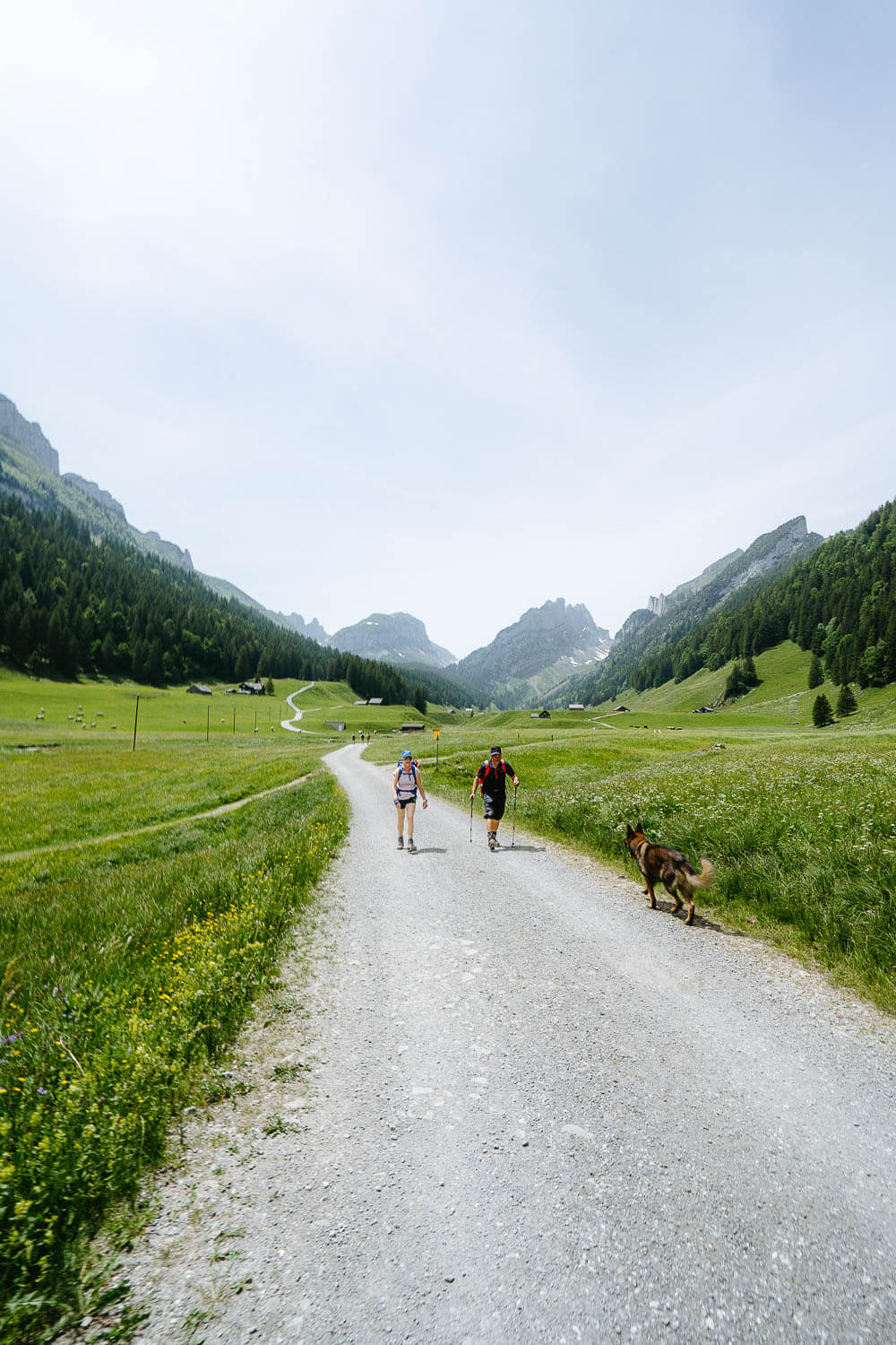Hikers with dog coming from Saxer Lücke