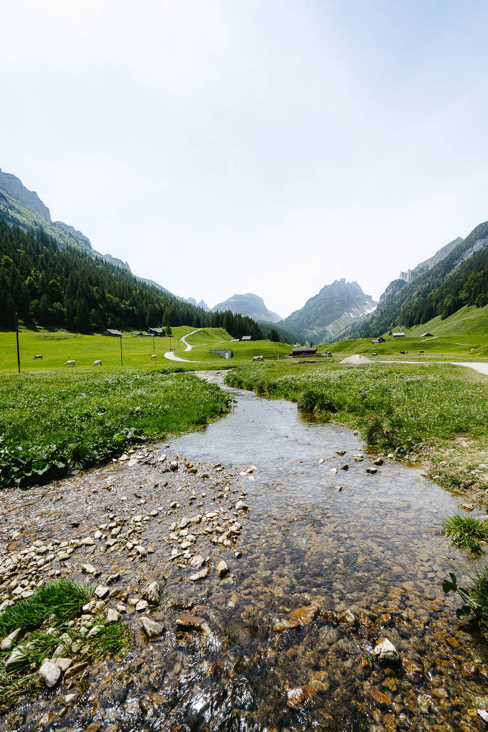 River going through green meadows in Alpstein