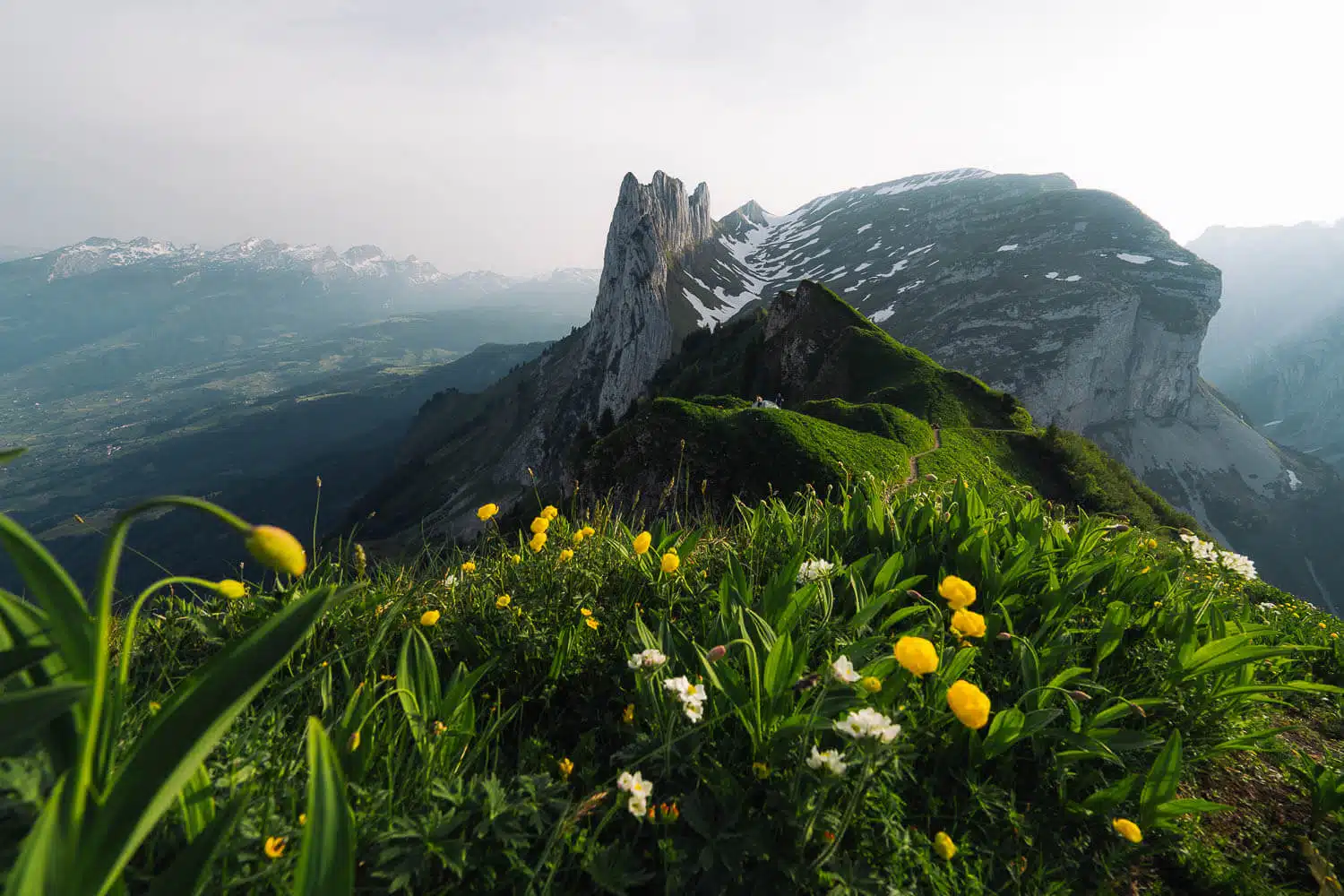 Saxer Lücke Panorama at Sunset with flowers