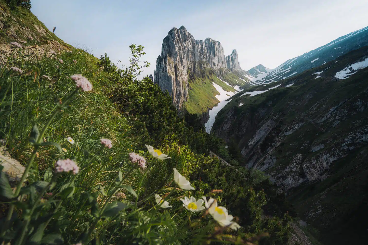 Sunset at Saxer Lücke with Flowers