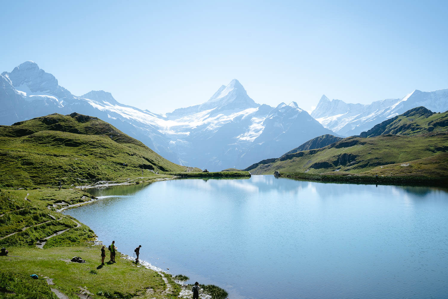 The Bachalpsee lake and Schreckhorn
