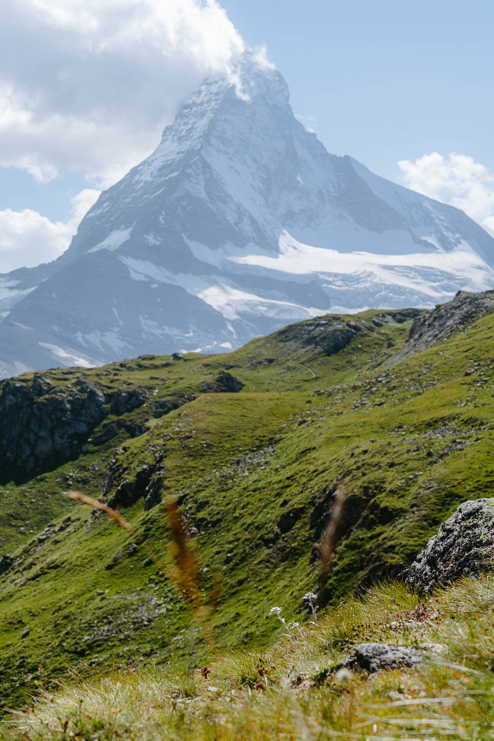 Edelweiss and Matterhorn
