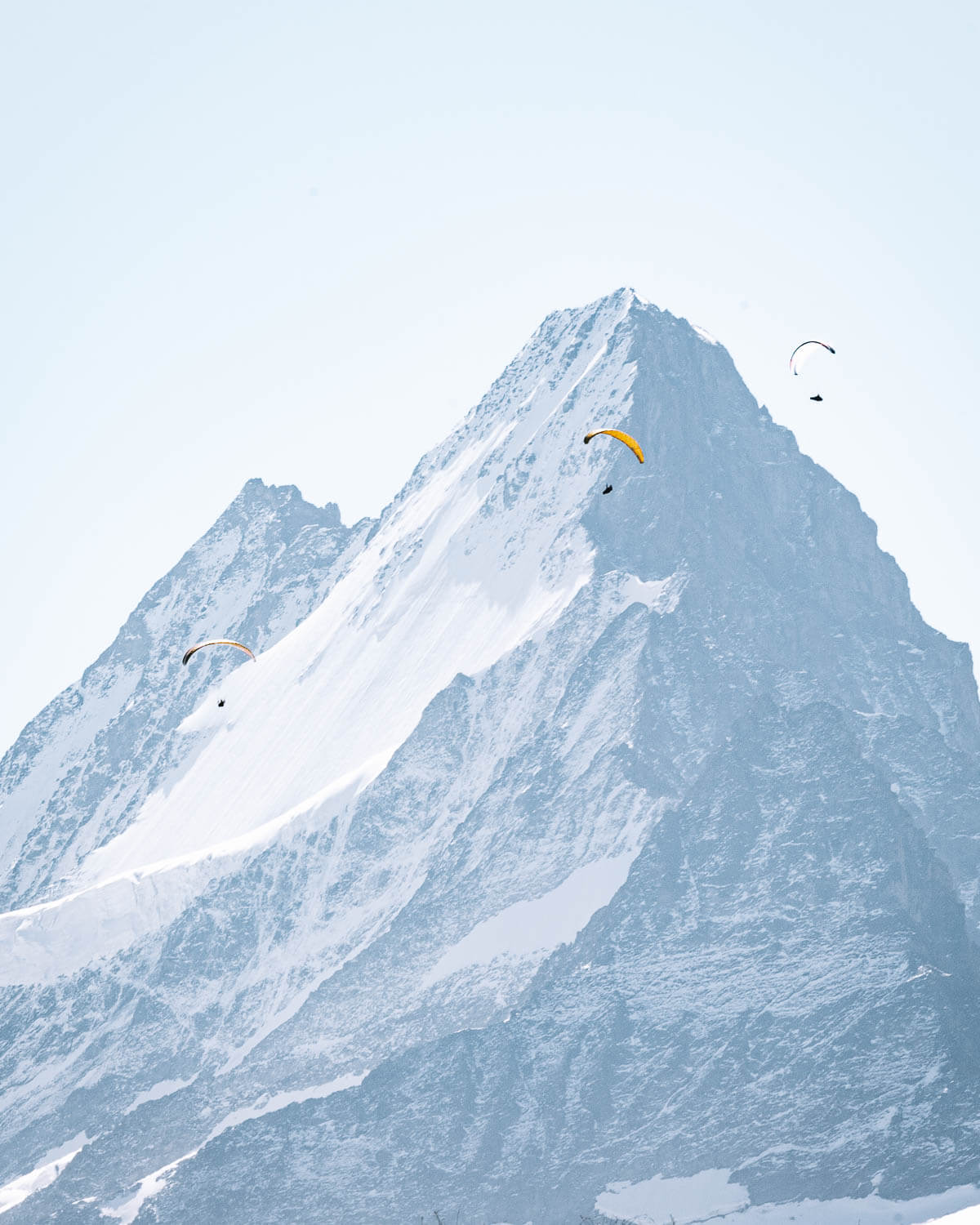 Paragliders and the Schreckhorn