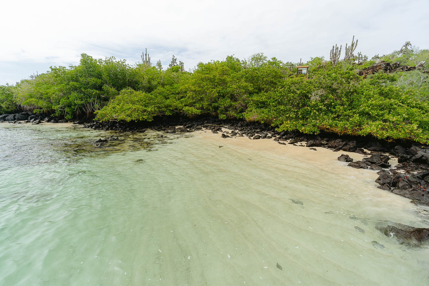 The beach next to the port where you start the Bay Tour