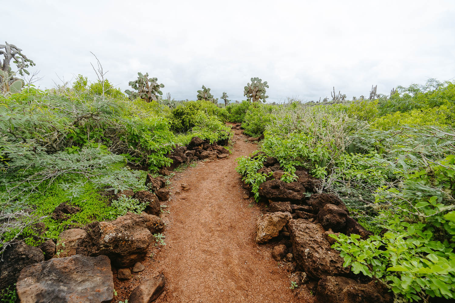 The way to Playa de Los Perros beach