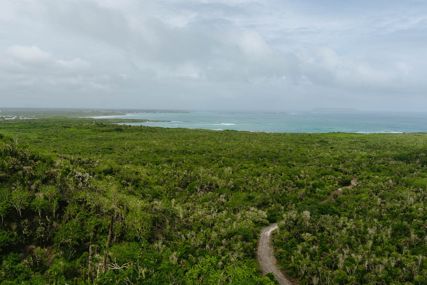 The view to Puerto Villamil from the viewpoint