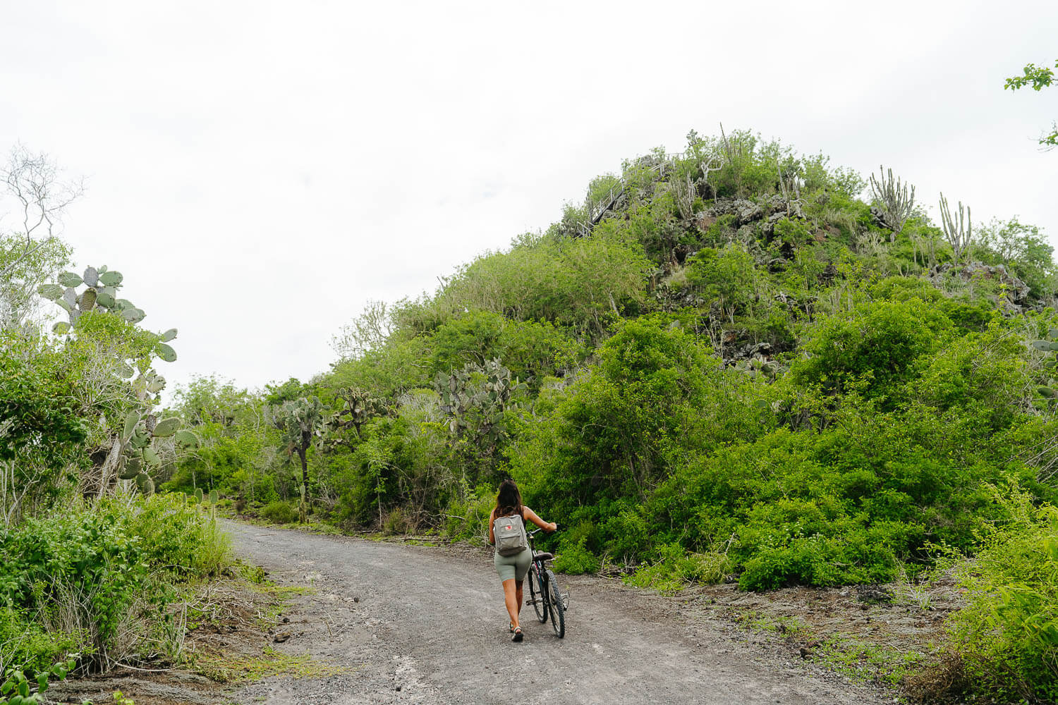 Cycling to Wall of Tears in Isabela island