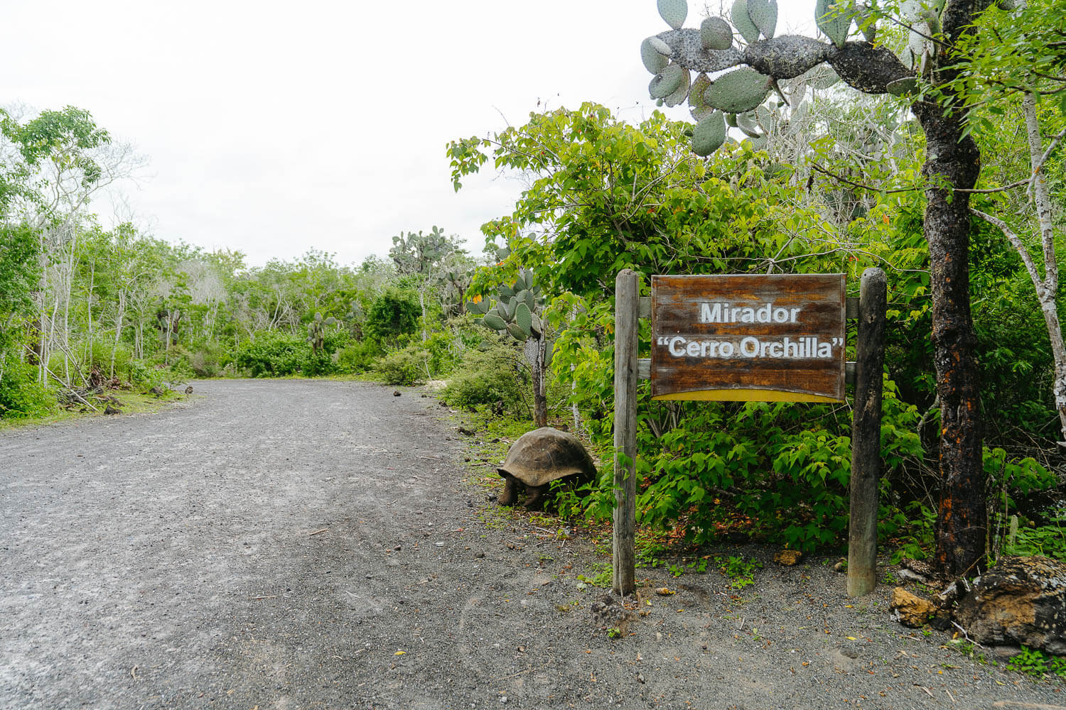 The entrance to Cerro Orchilla