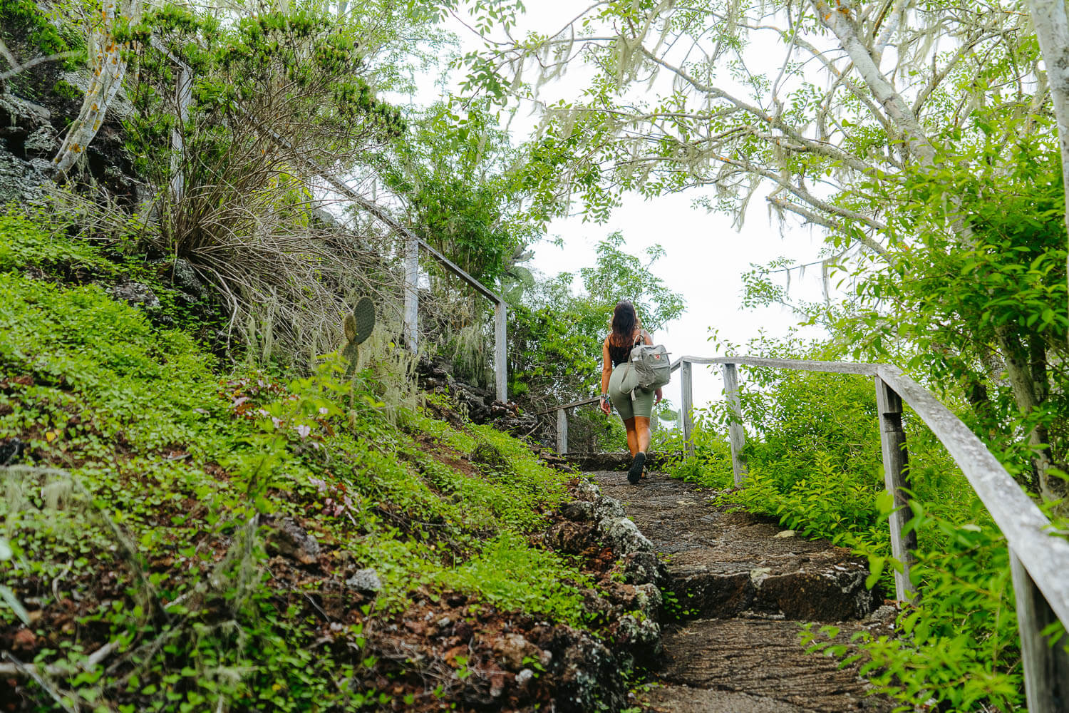 On the way up to Cerro Orchilla viewpoint