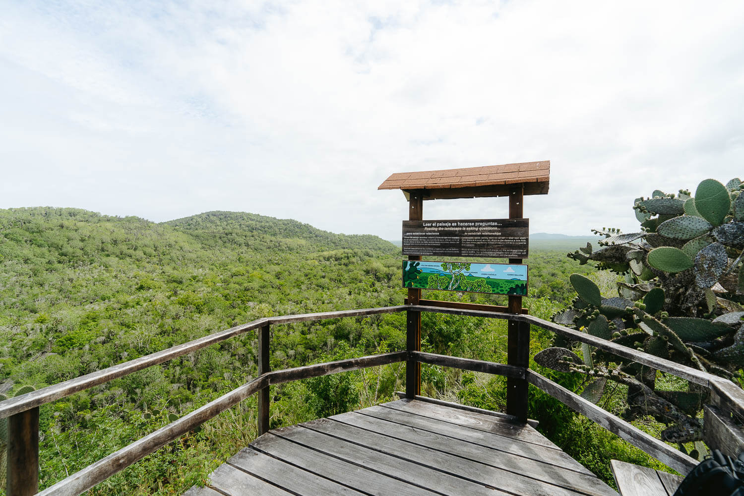 The viewpoint of Cerro Orchilla