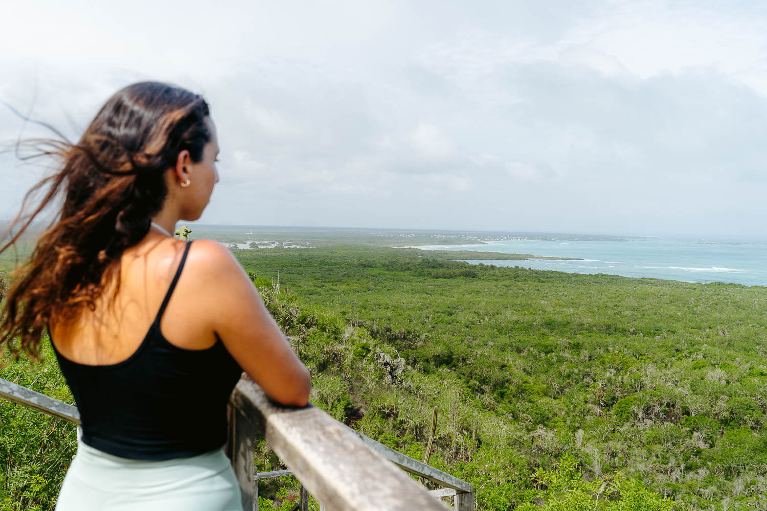 The views from Cerro Orchilla