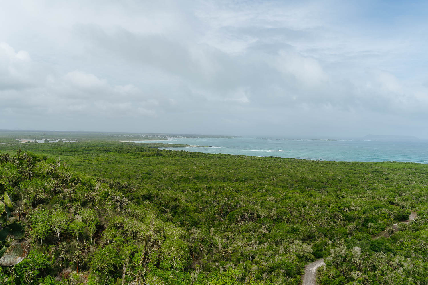 The view to Puerto Villamil from the viewpoint