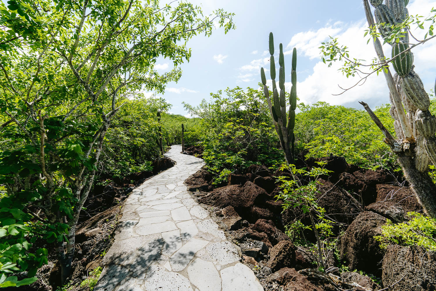 Hiking to Cerro Tijeretas