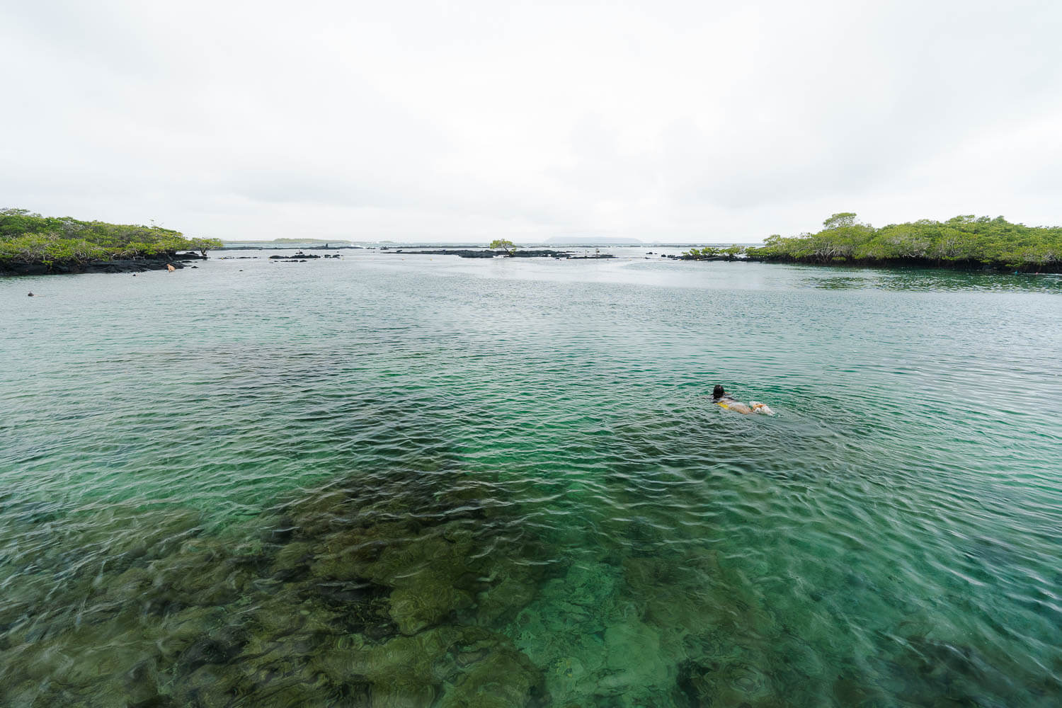 Swimming in the these beautiful turquoise waters