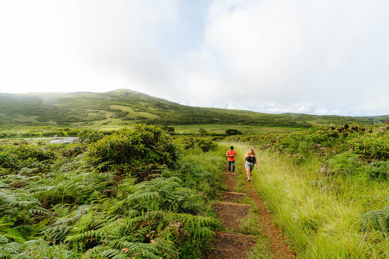 The way up to the crater on the Highlands Tour in San Cristobal