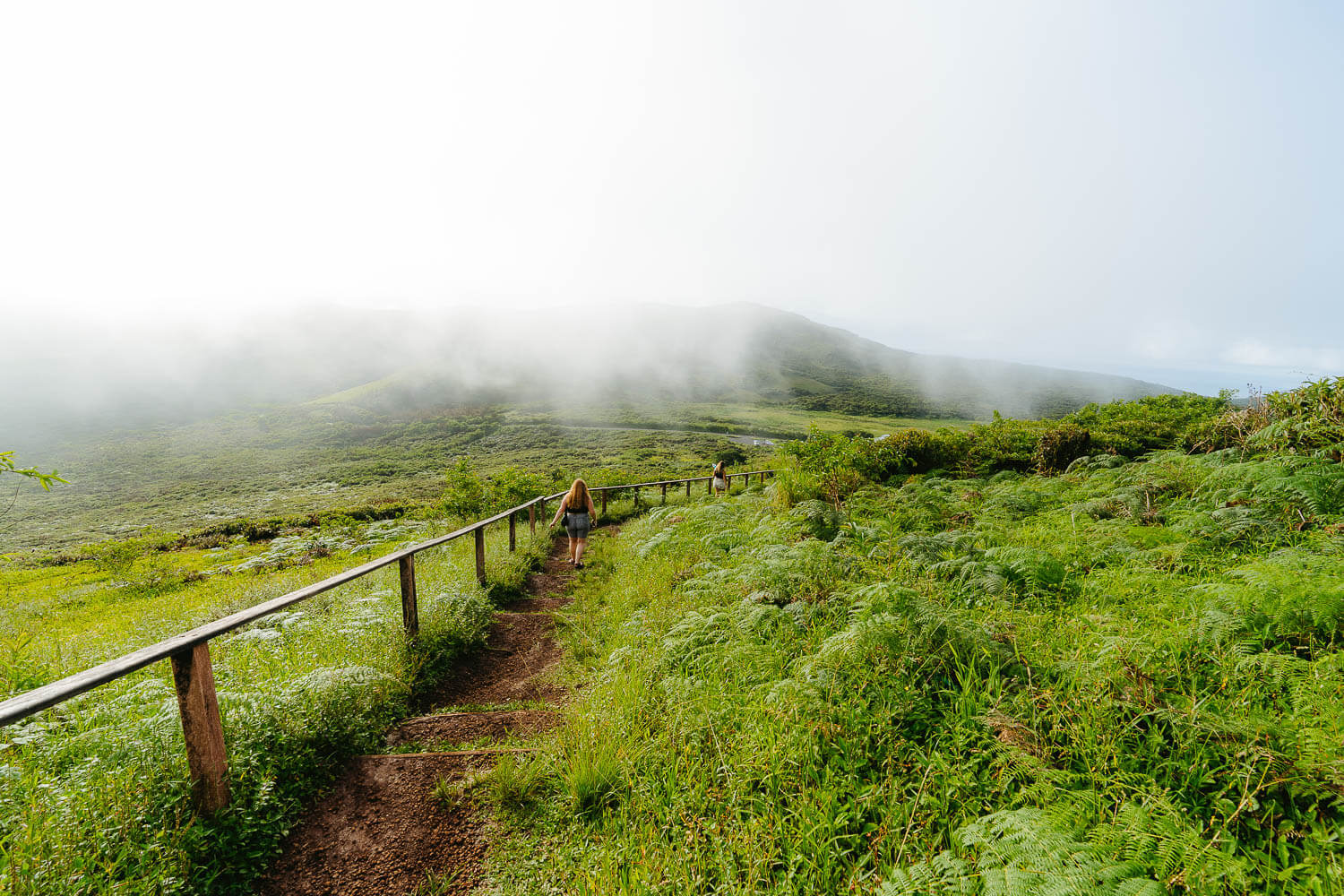 The way down to the parking area of El Junco