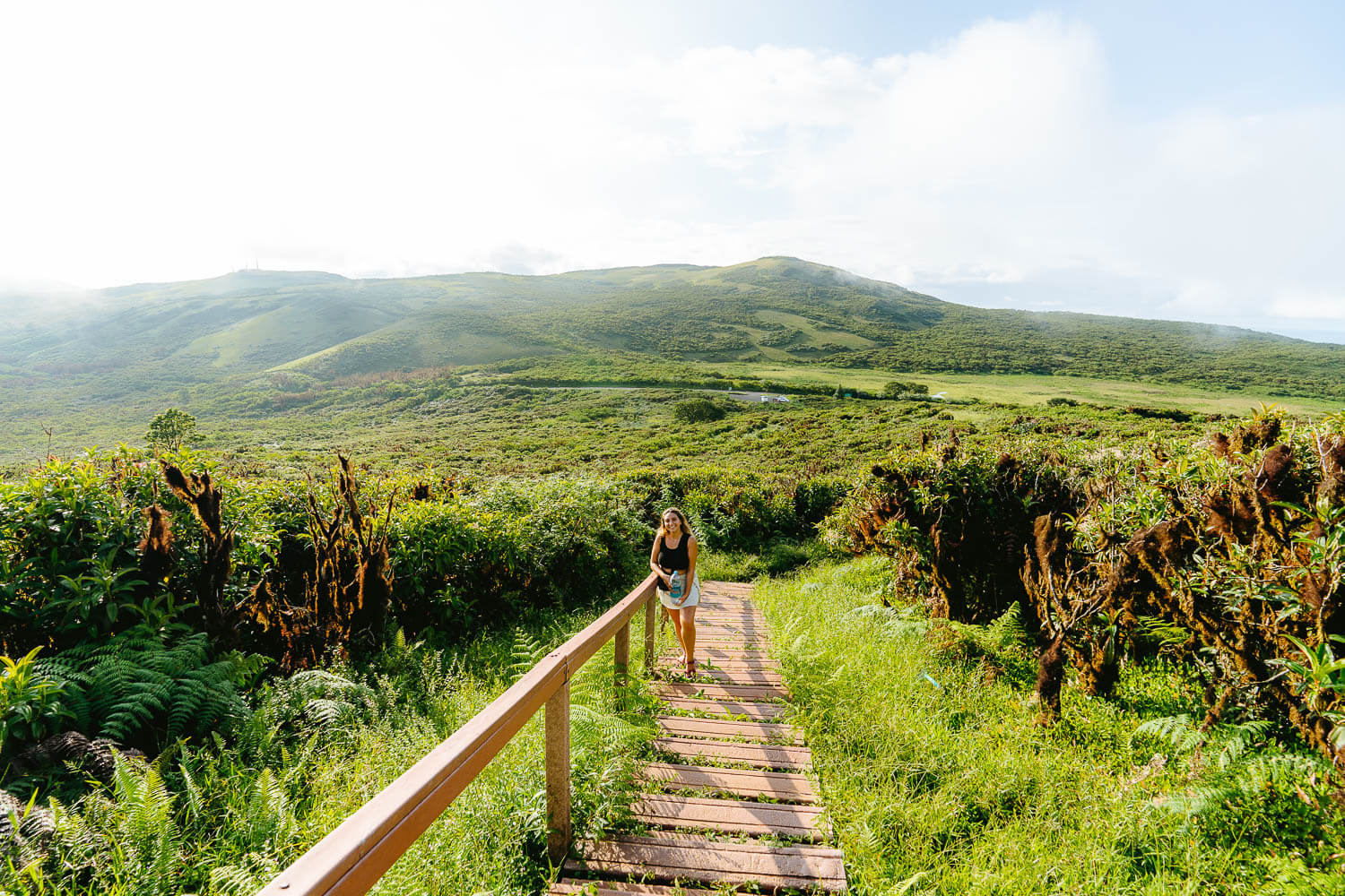 The way down to the parking area of El Junco