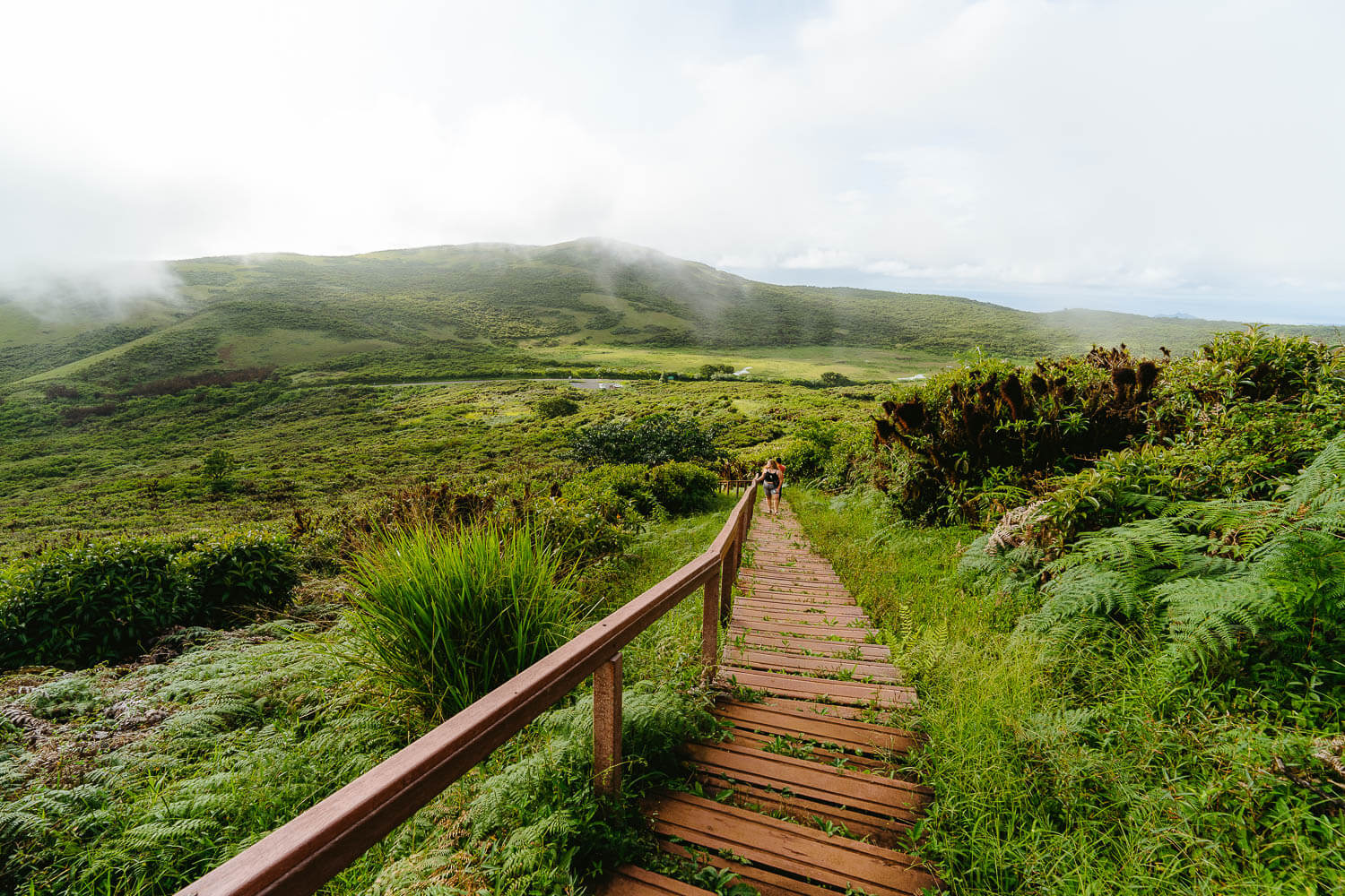 The wooden stairs on the way to the crater on the Highlands Tour in San Cristobal, Galápagos