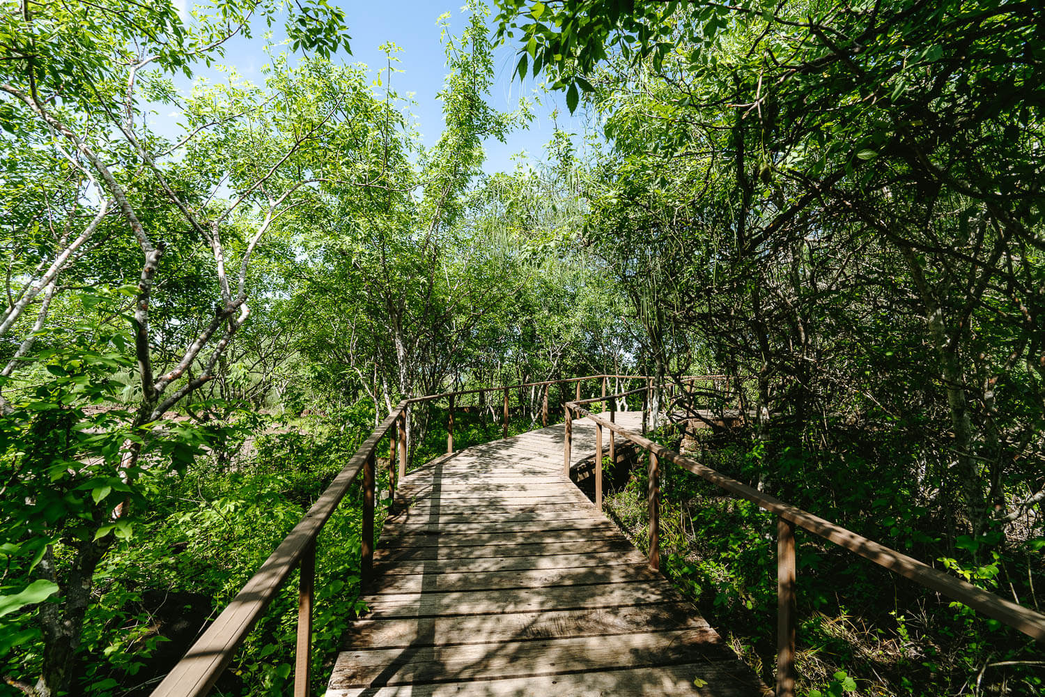 The entrance to the Interpretation Center