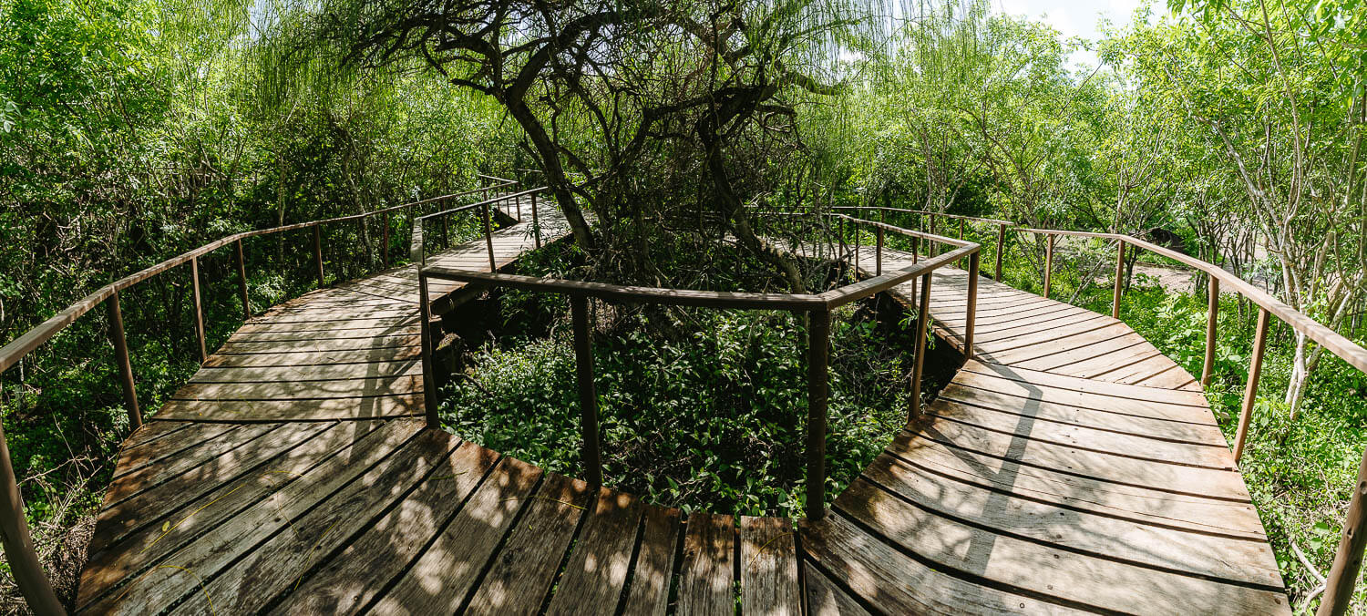 The wooden path to the Interpretation Center