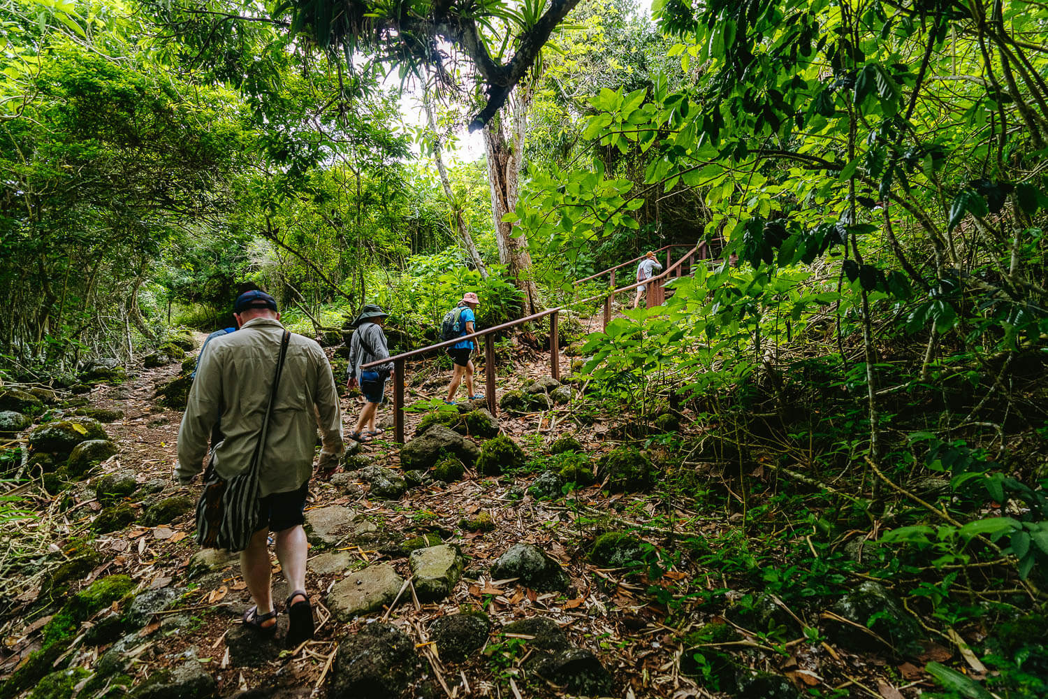 Hiking to the fresh water spring