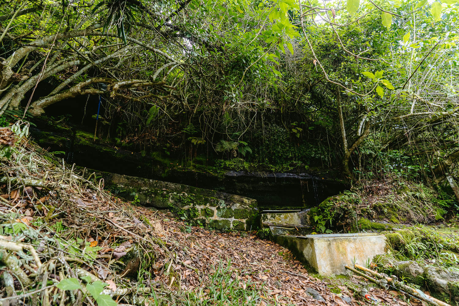 The fresh water spring of Floreana