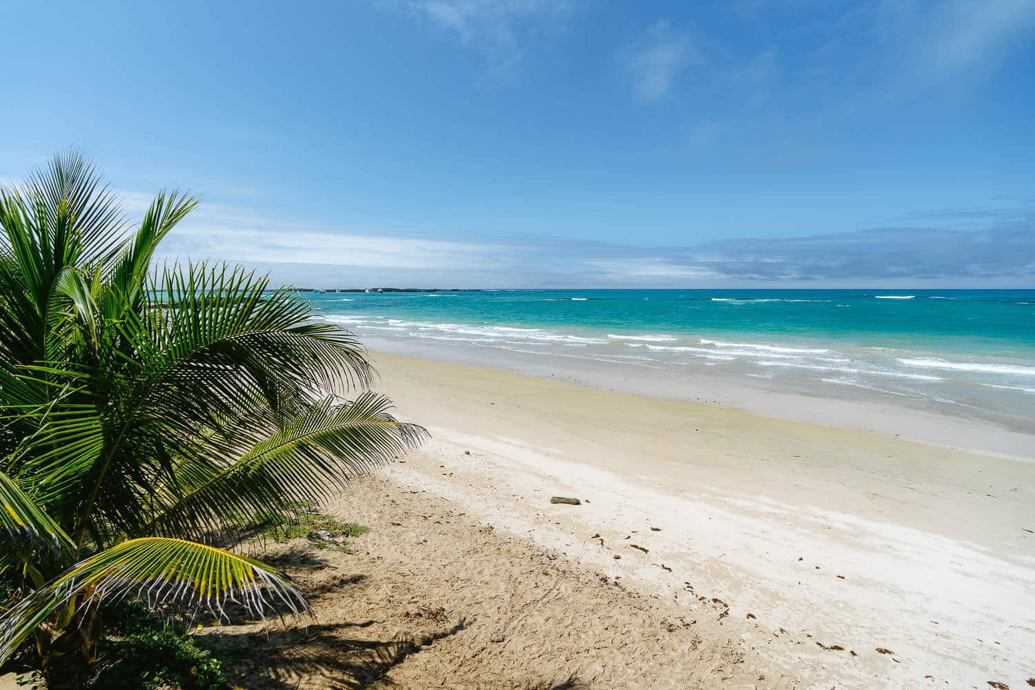 Isla Isabela Beach in Galapagos