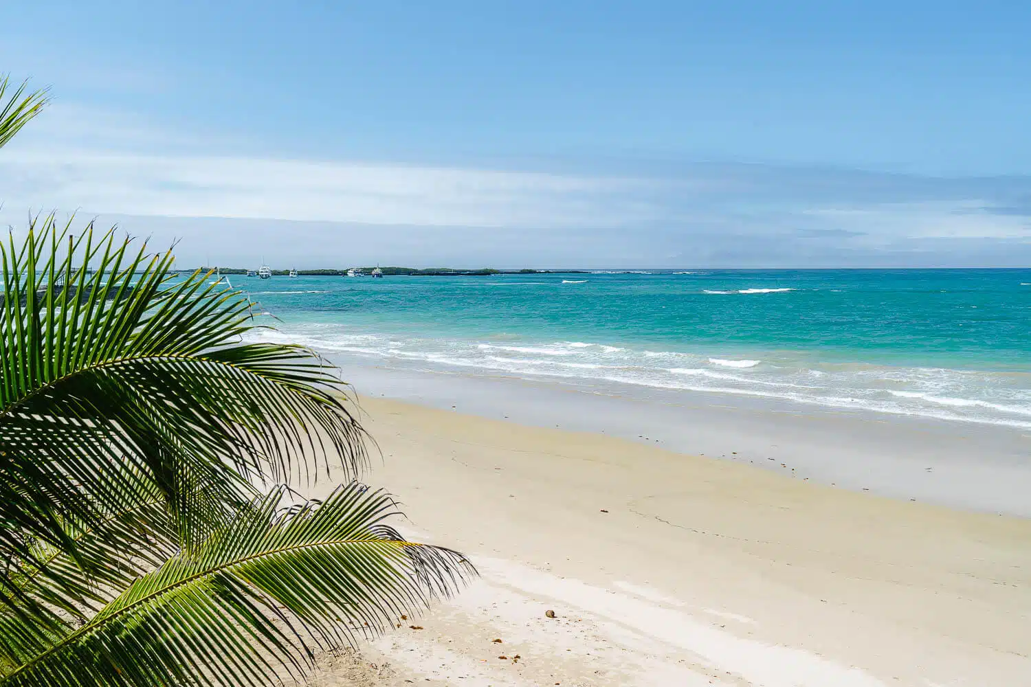 The view from the balcony of the Cormorant Beach House.