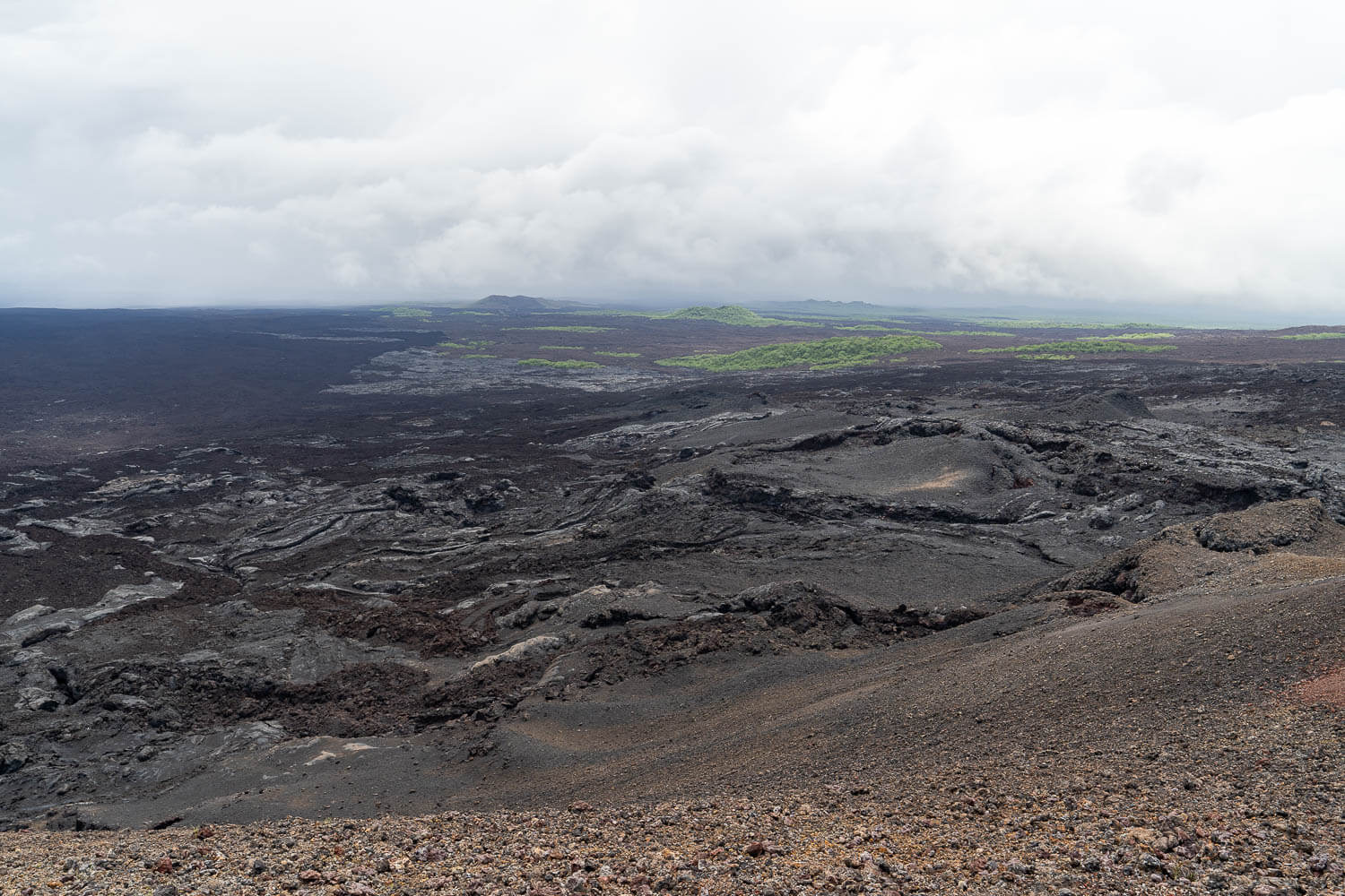 The lava fields seen from Chico volcano's viewpoint