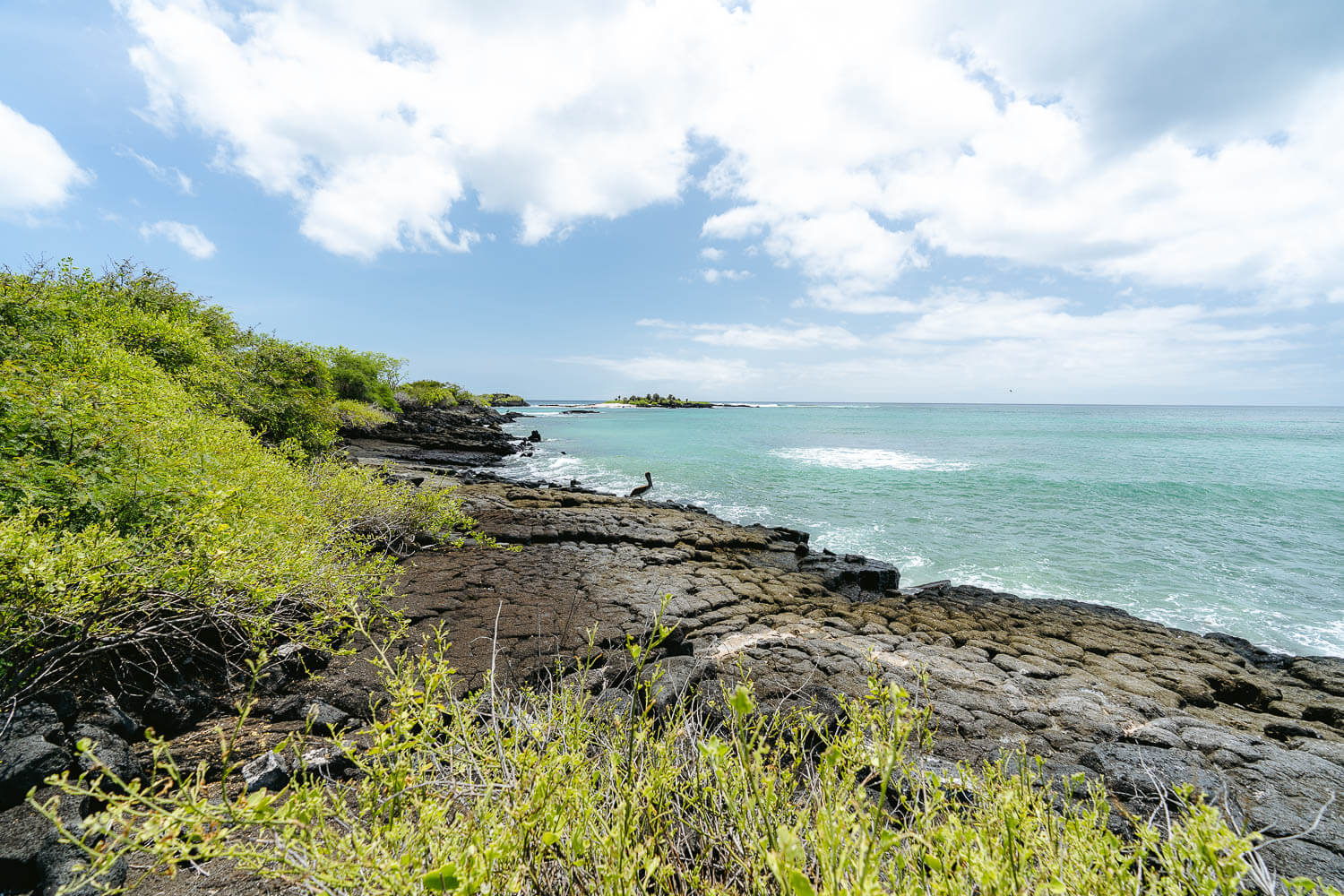 The first glimpse at Loberia islet