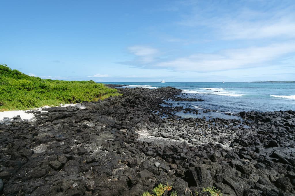 Santa Cruz Rocks 15 Free Things To Do in Santa Cruz, Galapagos: Without a Guide