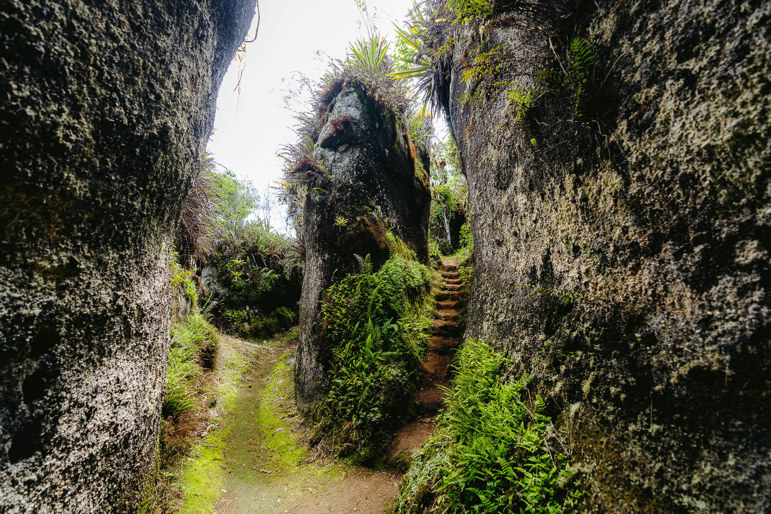 Isla Floreana Labyrinths