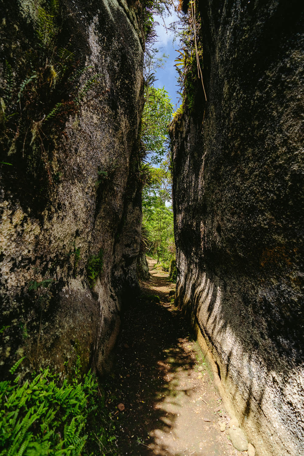 The labyrinth