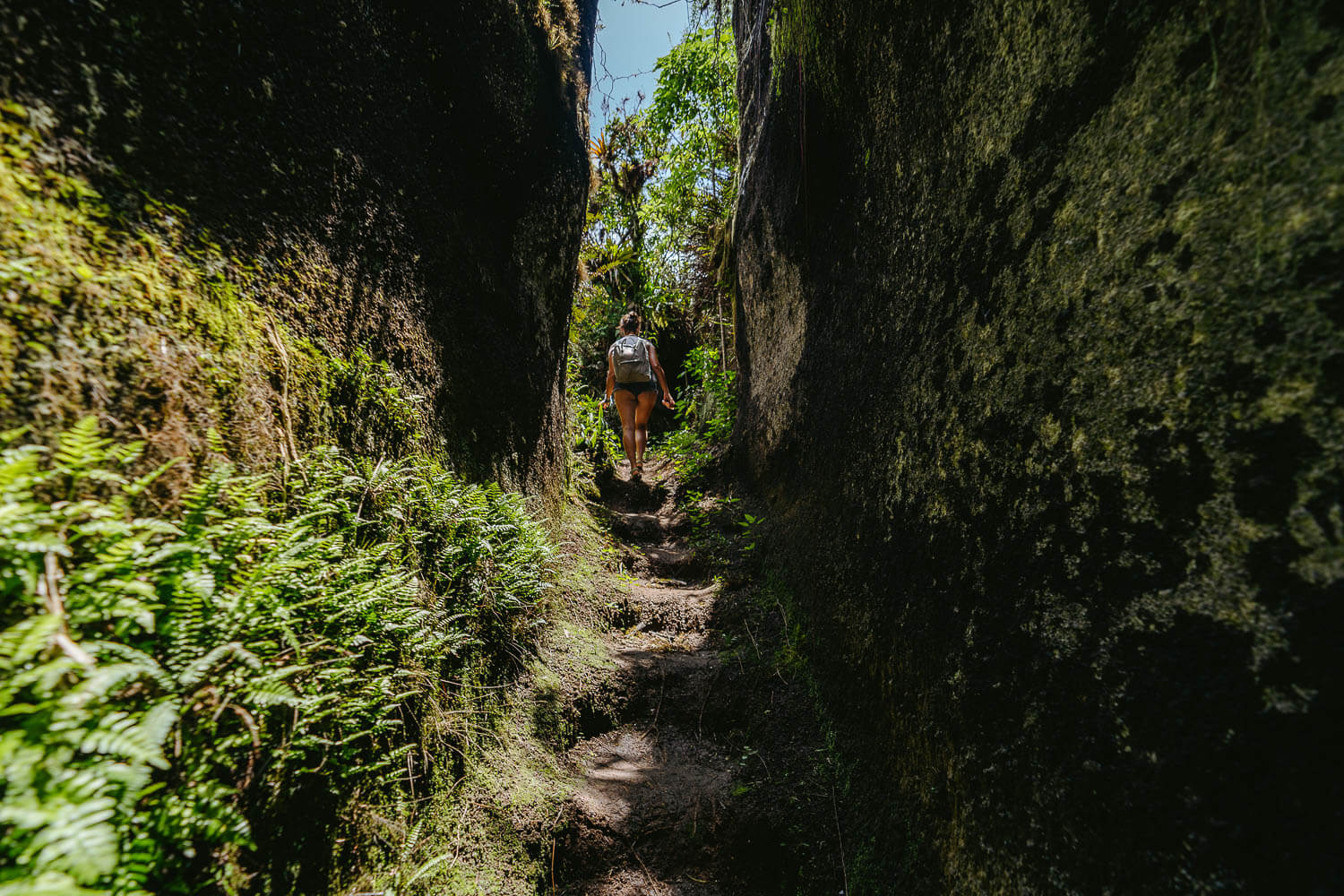 Floreana Island Labyrinth