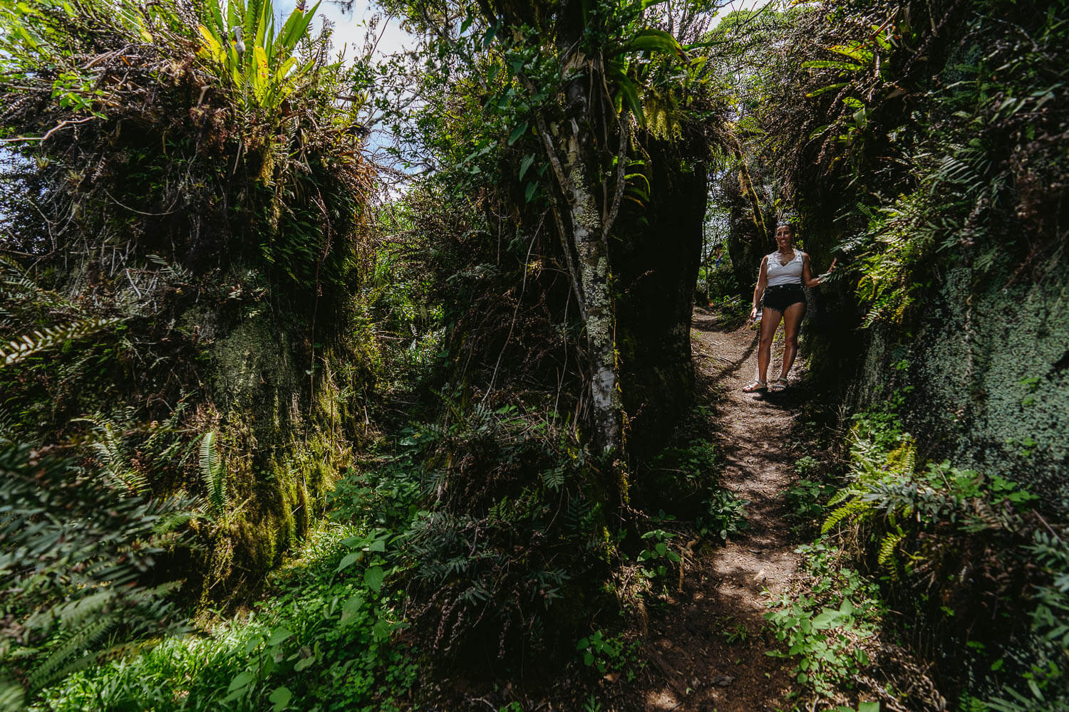 The labyrinths of Floreana