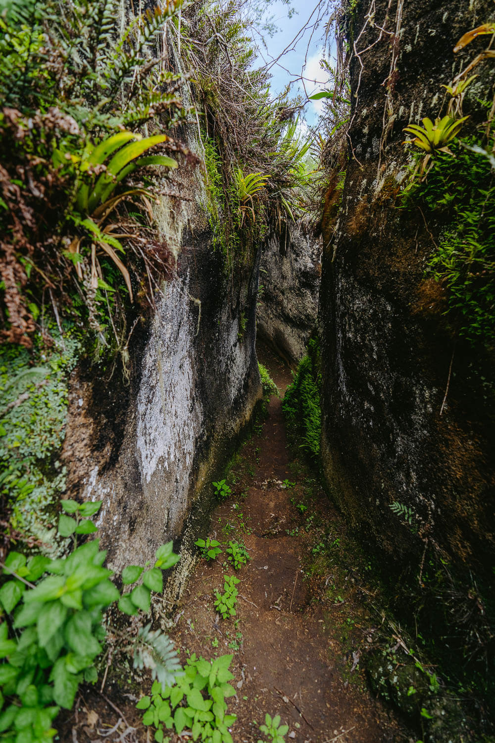 More parts of the labyrinth